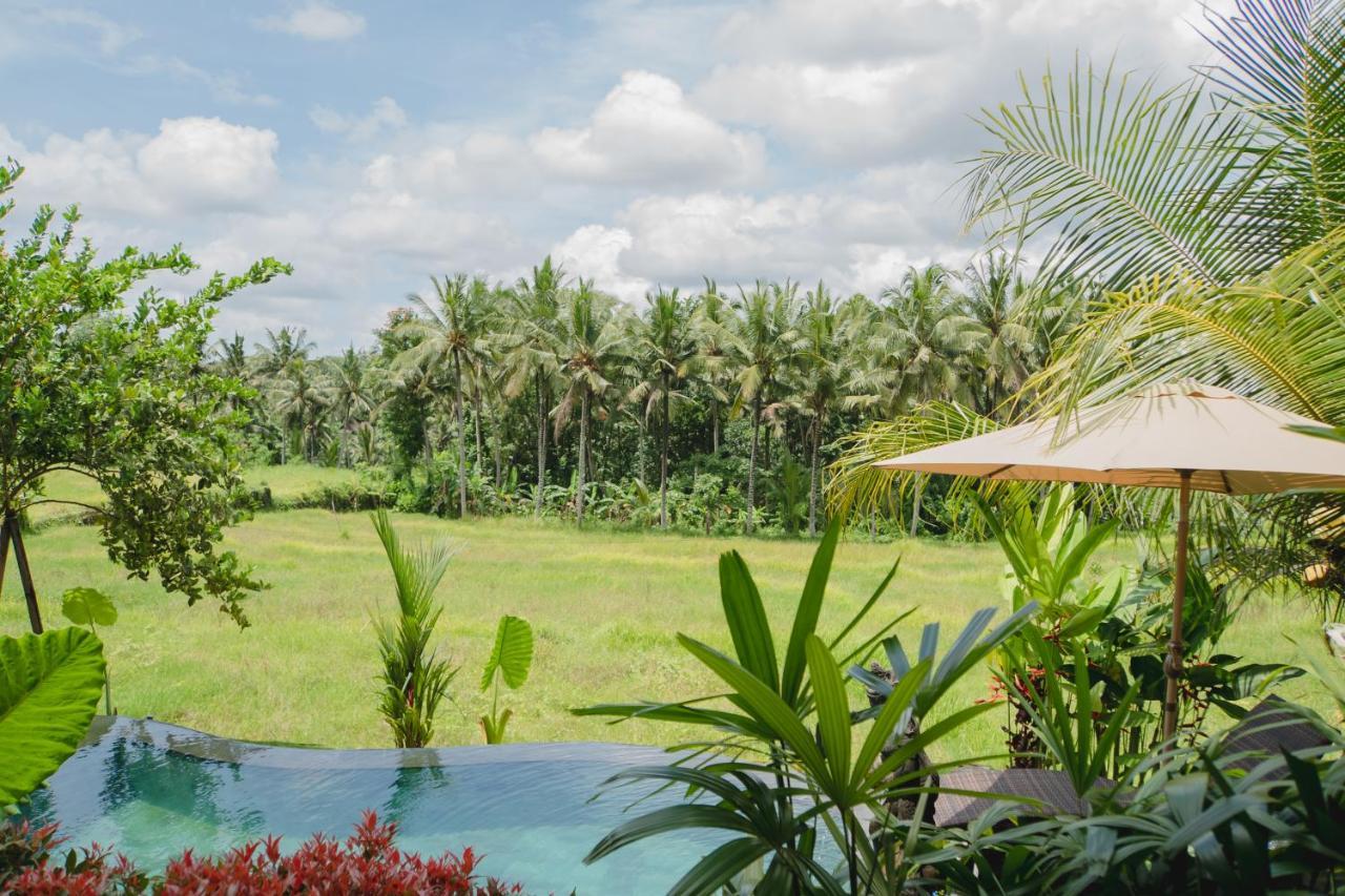 Double Room Mountain View