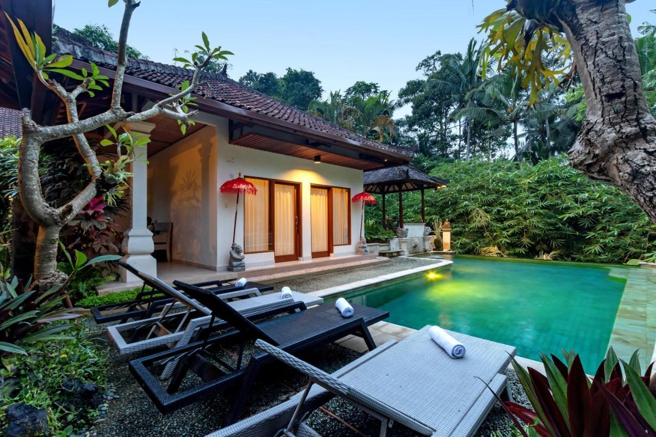 King Room Pool View