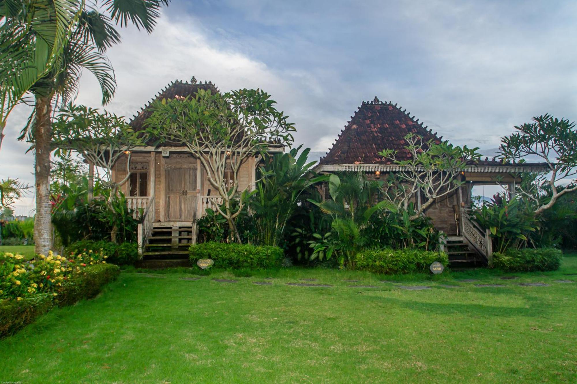 Suite Garden View