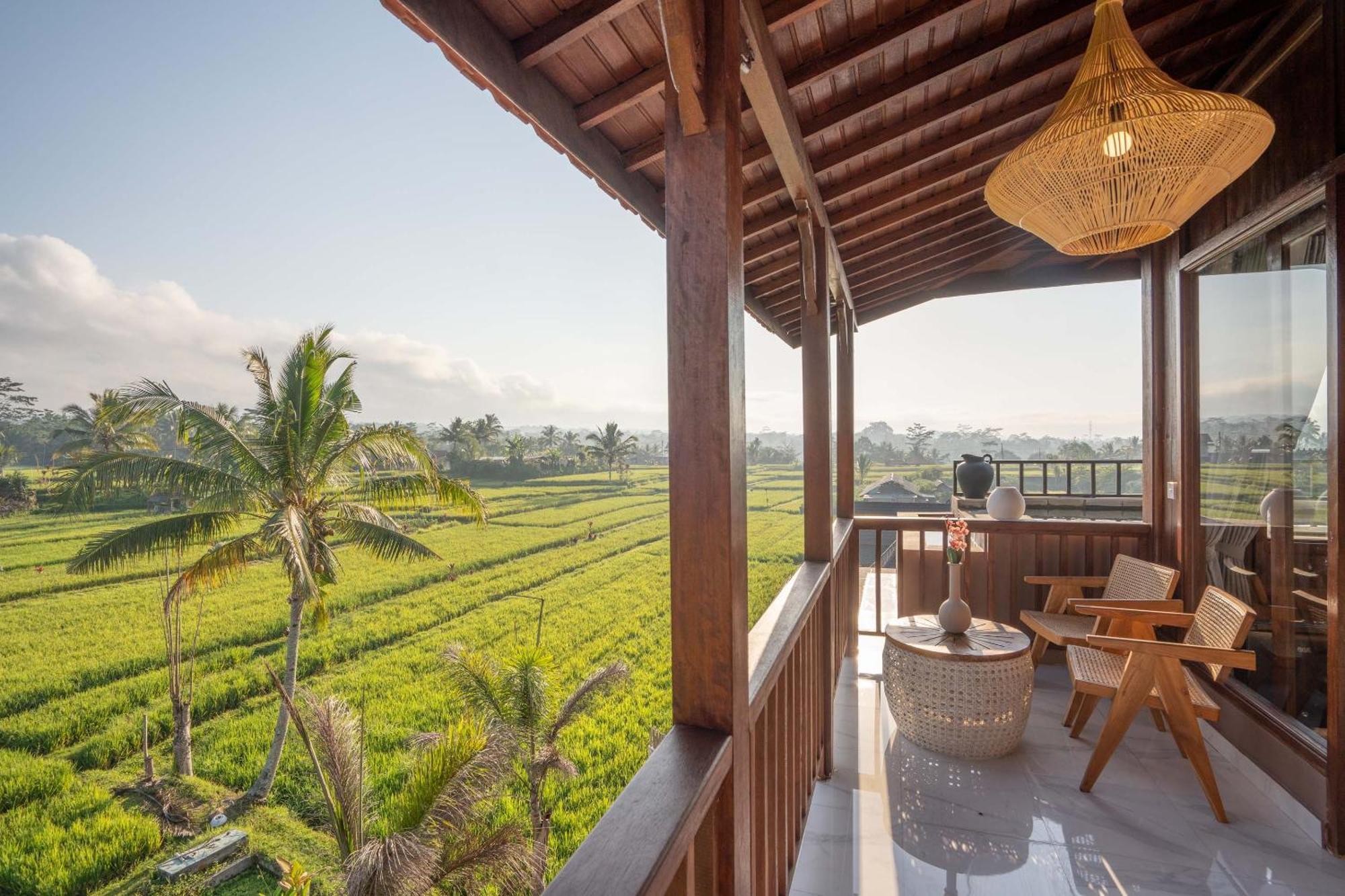 Suite Plunge Pool Rice Field View