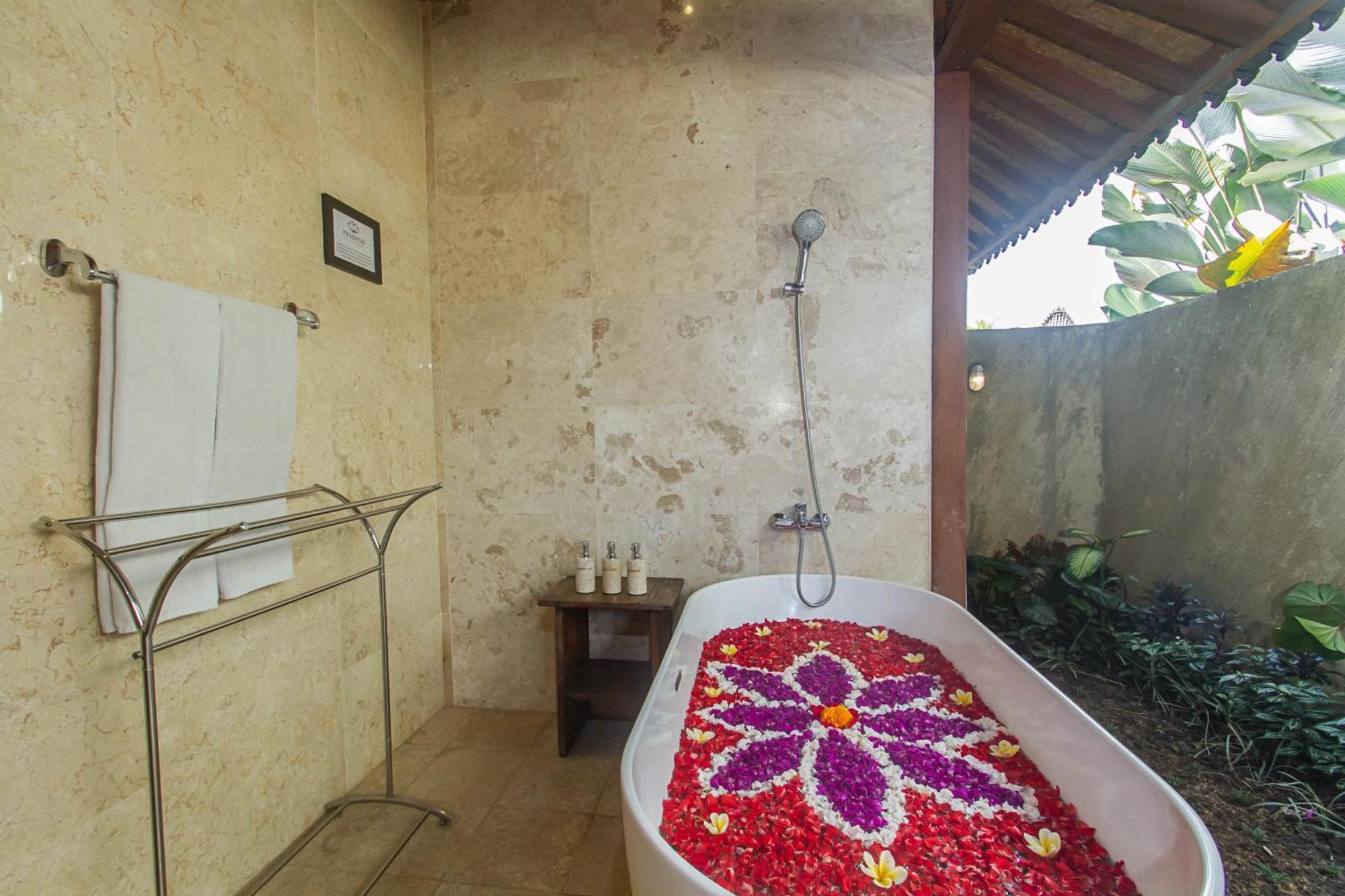 Deluxe One-Bedroom Villa Rice Field View