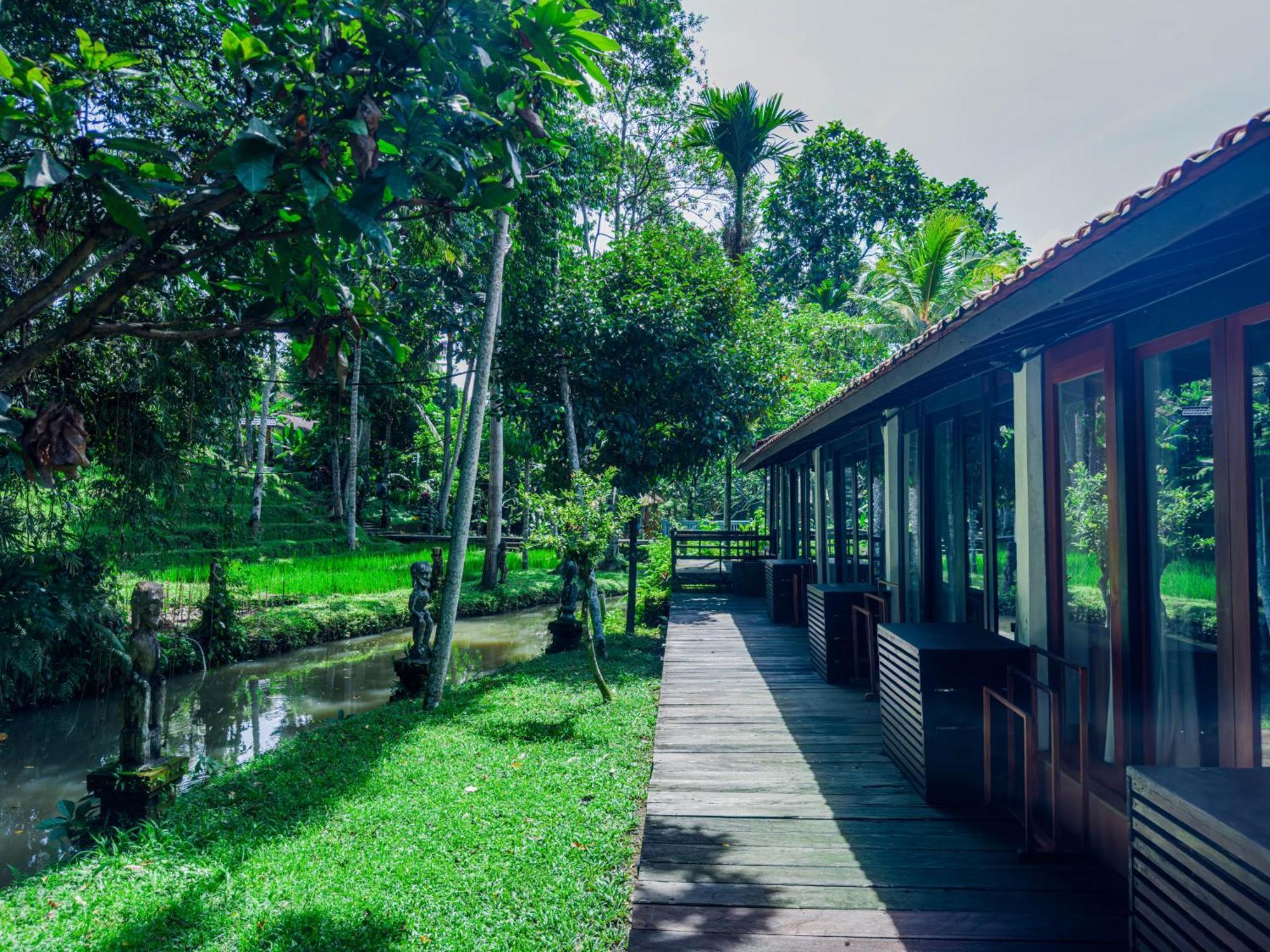 Superior Room River View Benefits