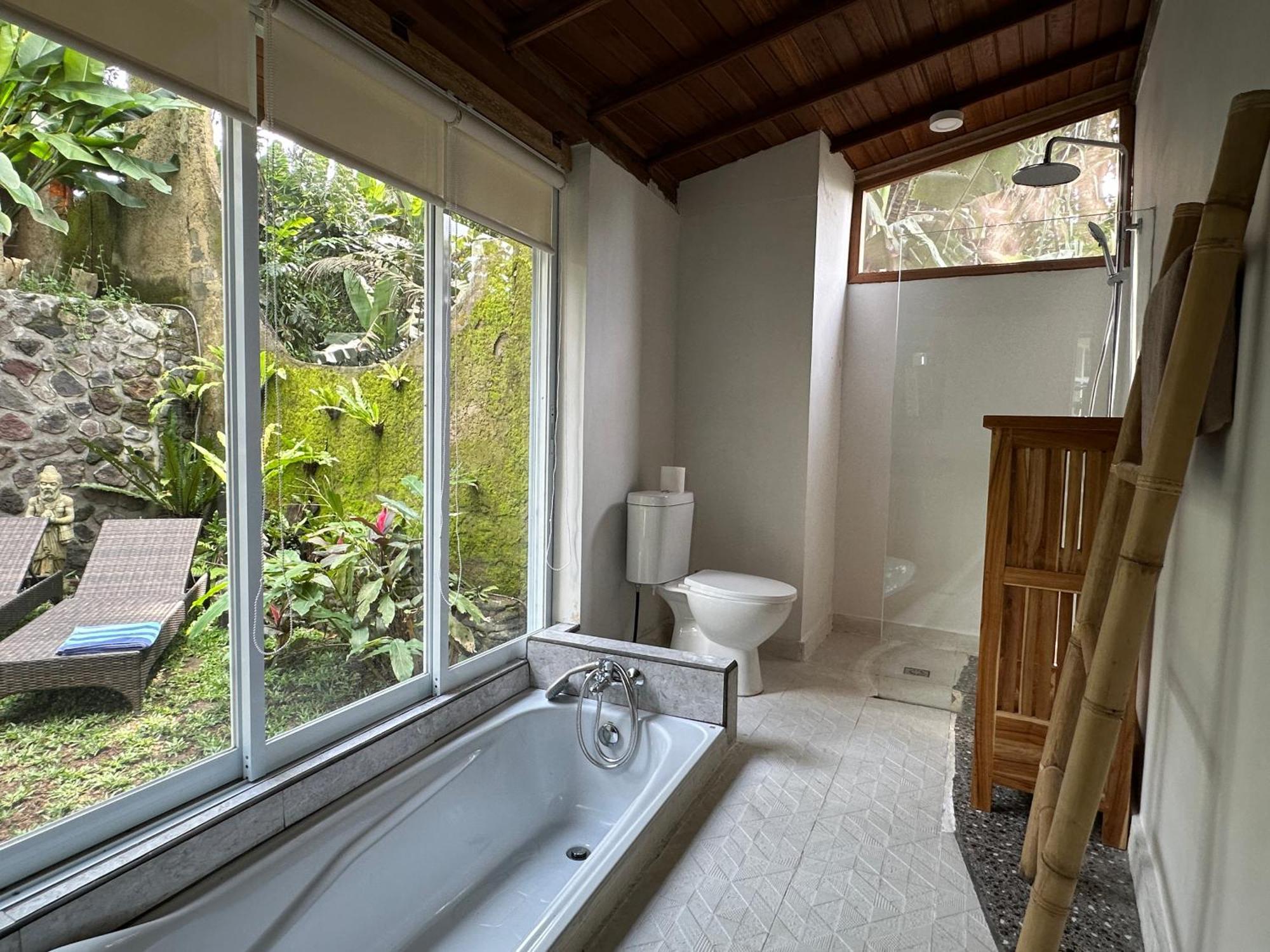 Two-Bedroom Mountain View villa