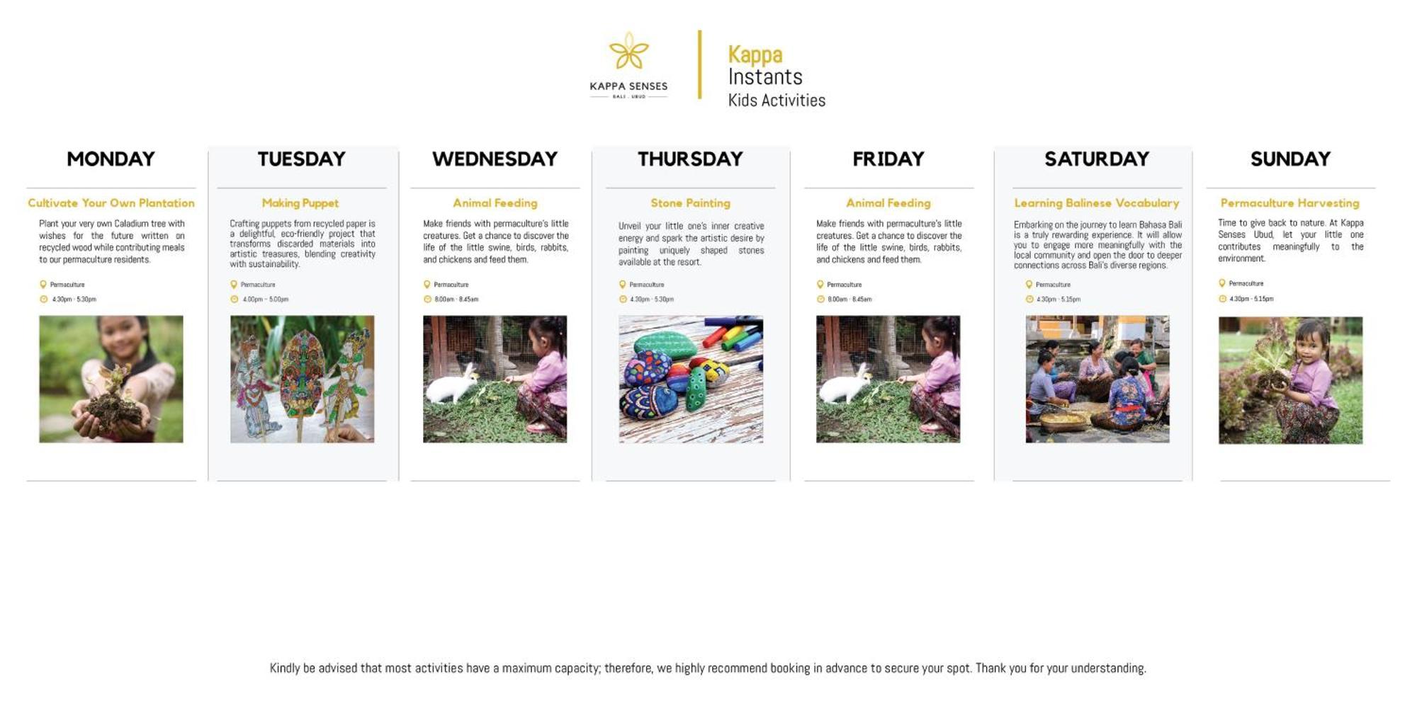 Jungle Suite King Daily Scheduled Activities