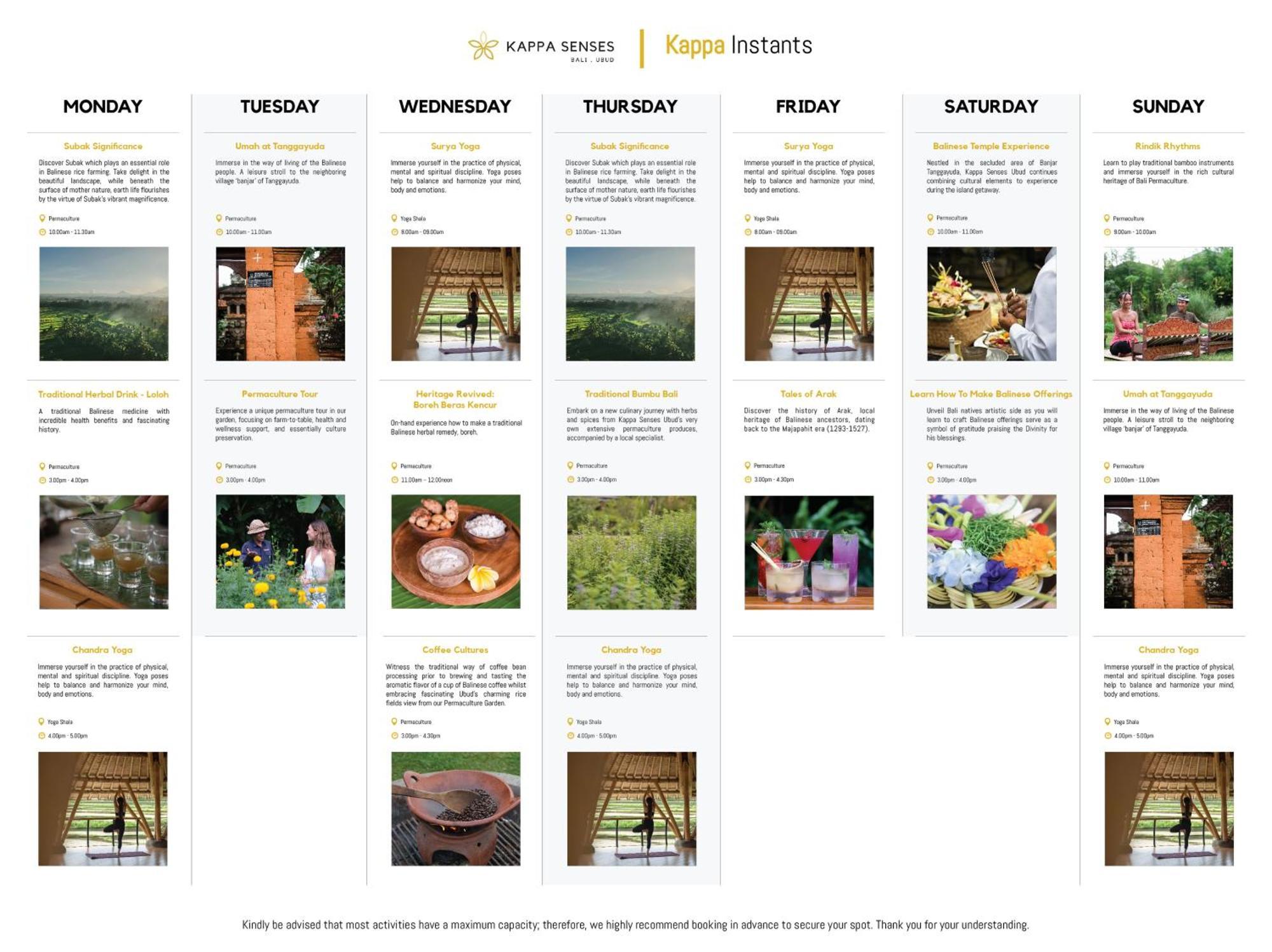 Jungle Suite King Daily Scheduled Activities