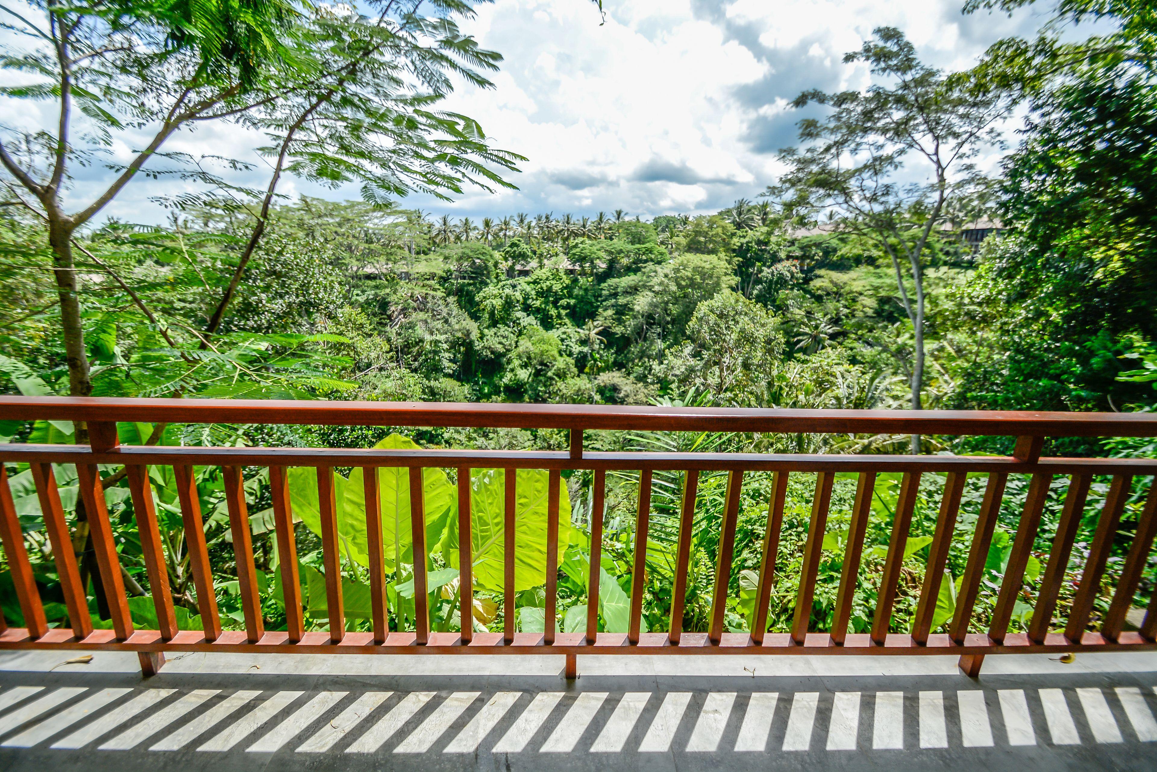 Valley View Suite