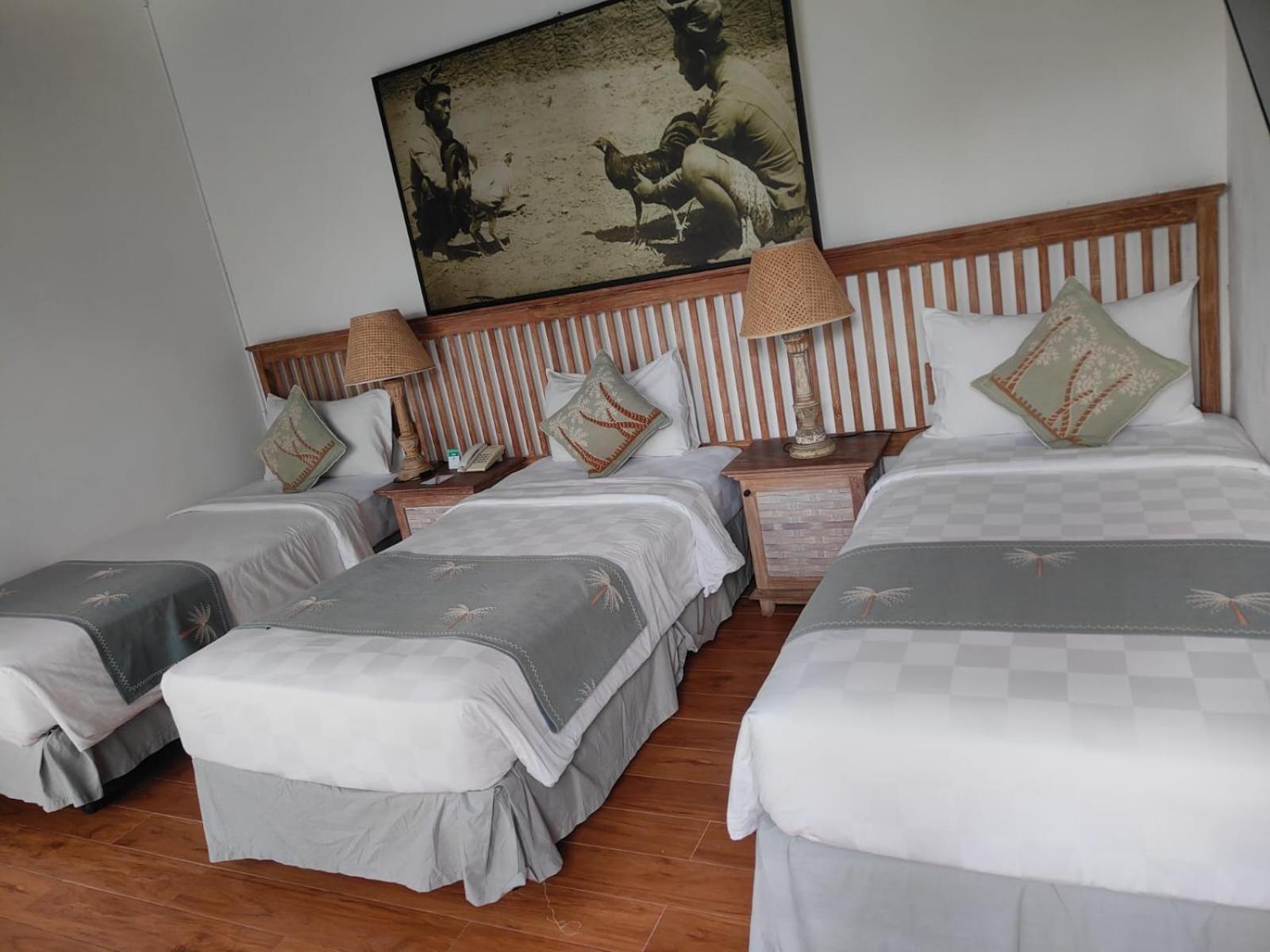 Deluxe Villa