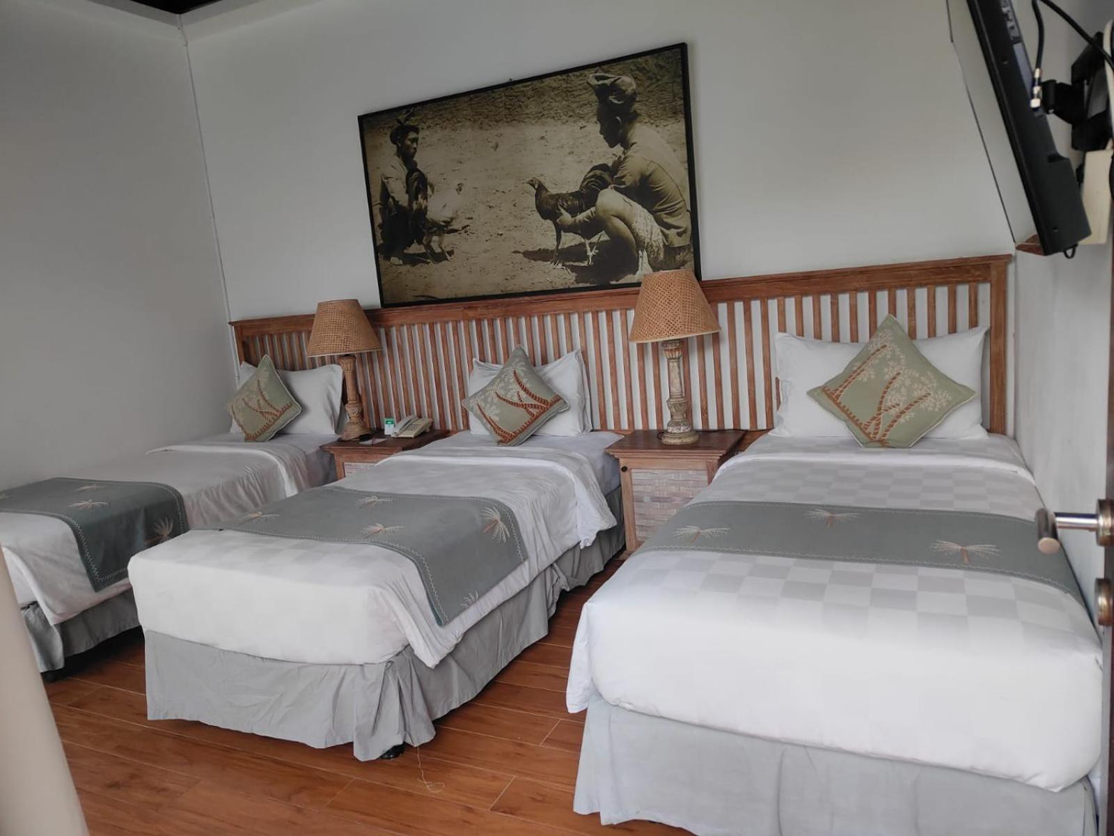 Deluxe Villa