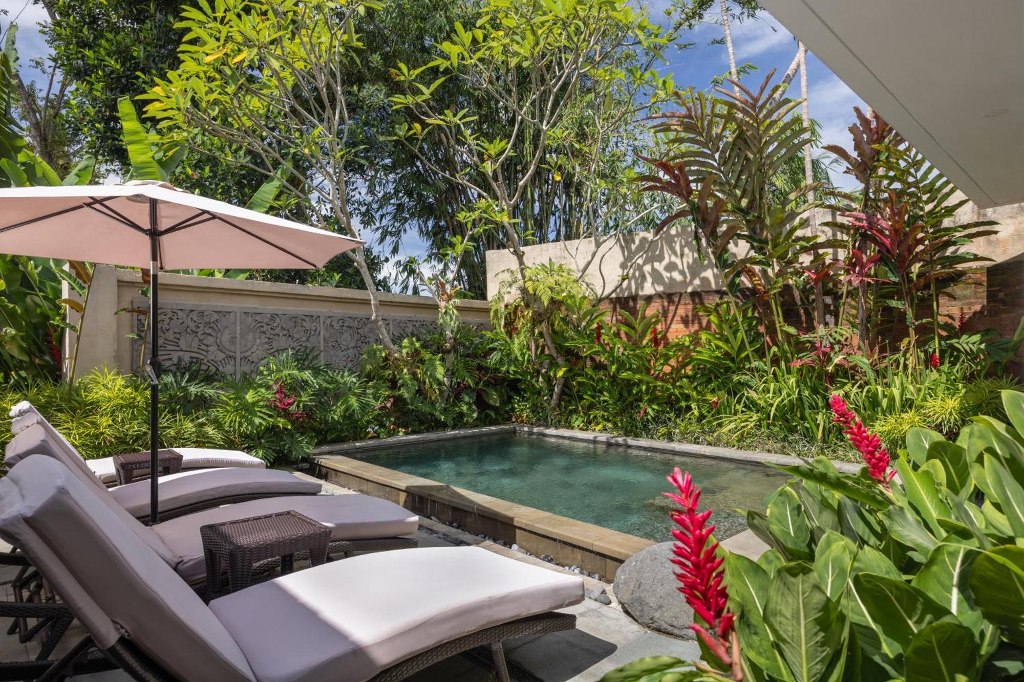 Two Bedroom Pool Villa Rice Field View Shuttle to Ubud Center