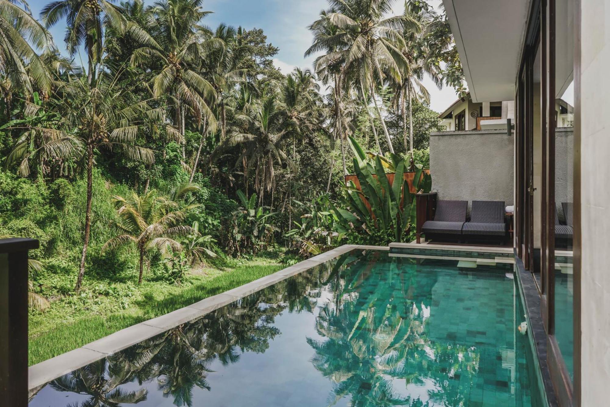 One-Bedroom Pool Villa Forest View