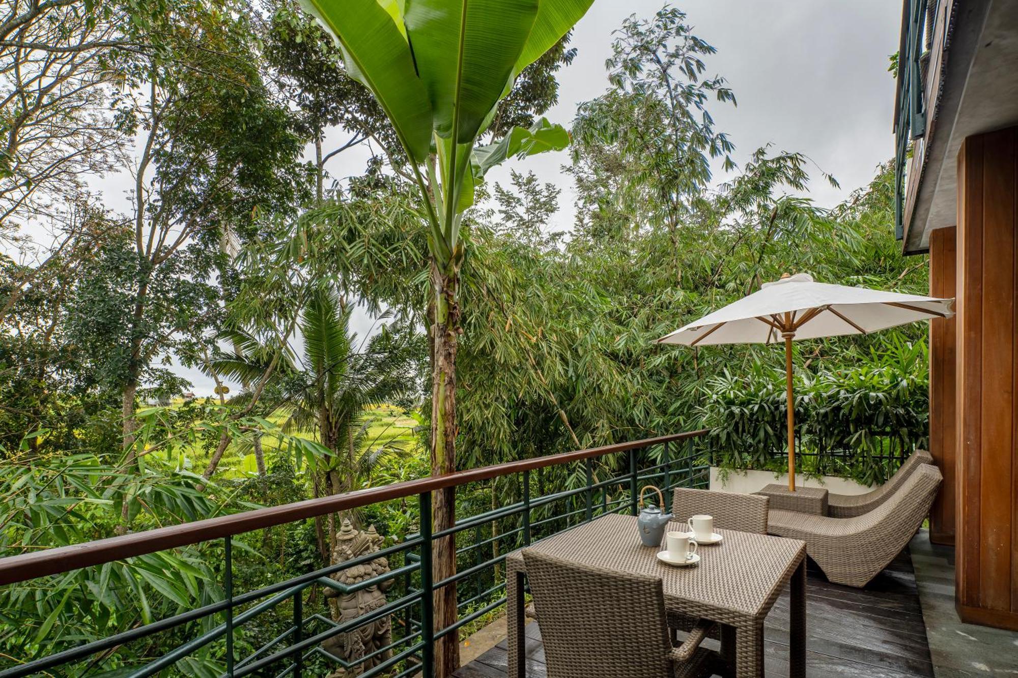 Jungle Suite King Daily Scheduled Activities