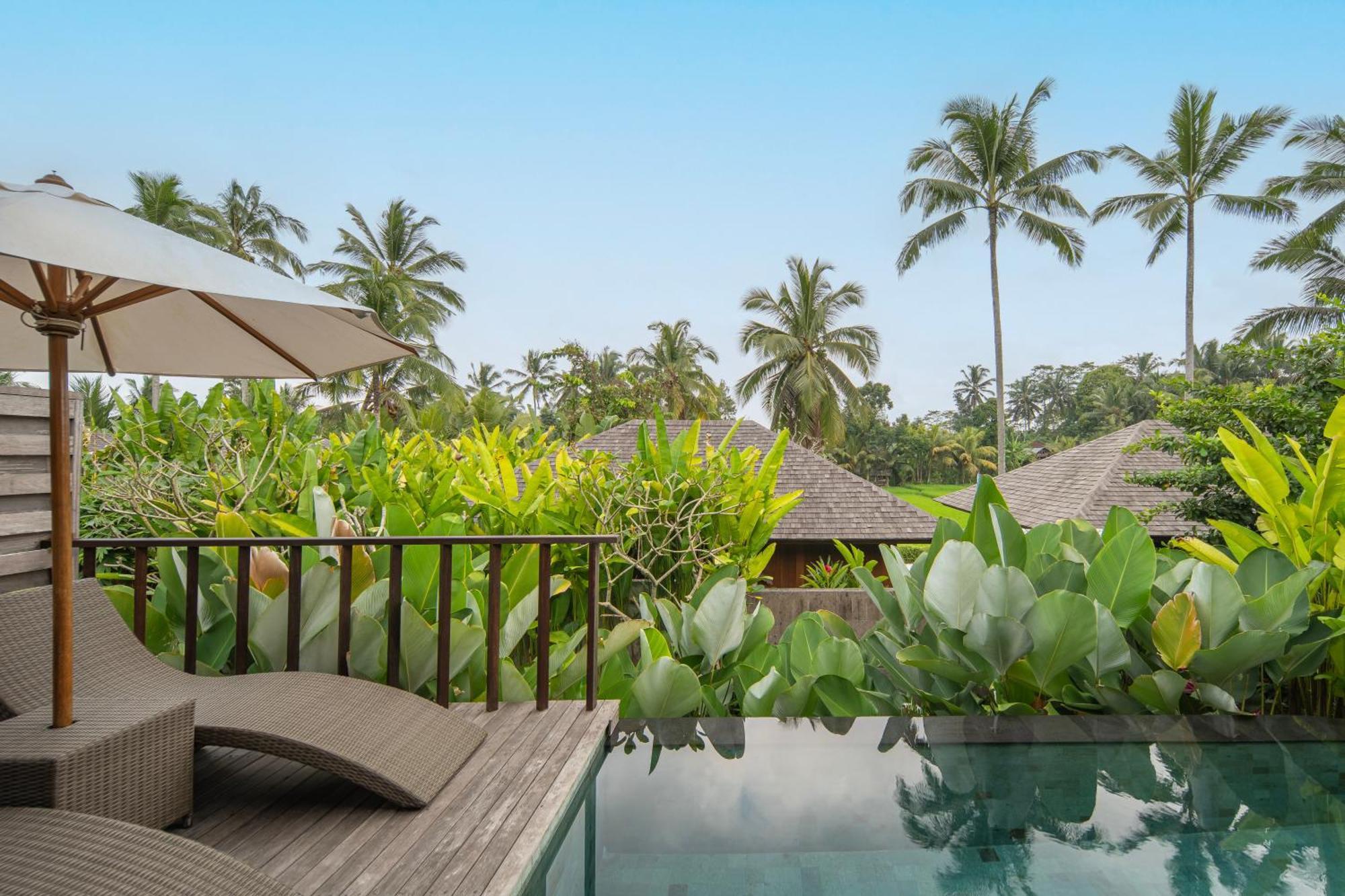 One-Bedroom Villa Private Pool Daily Scheduled Activities