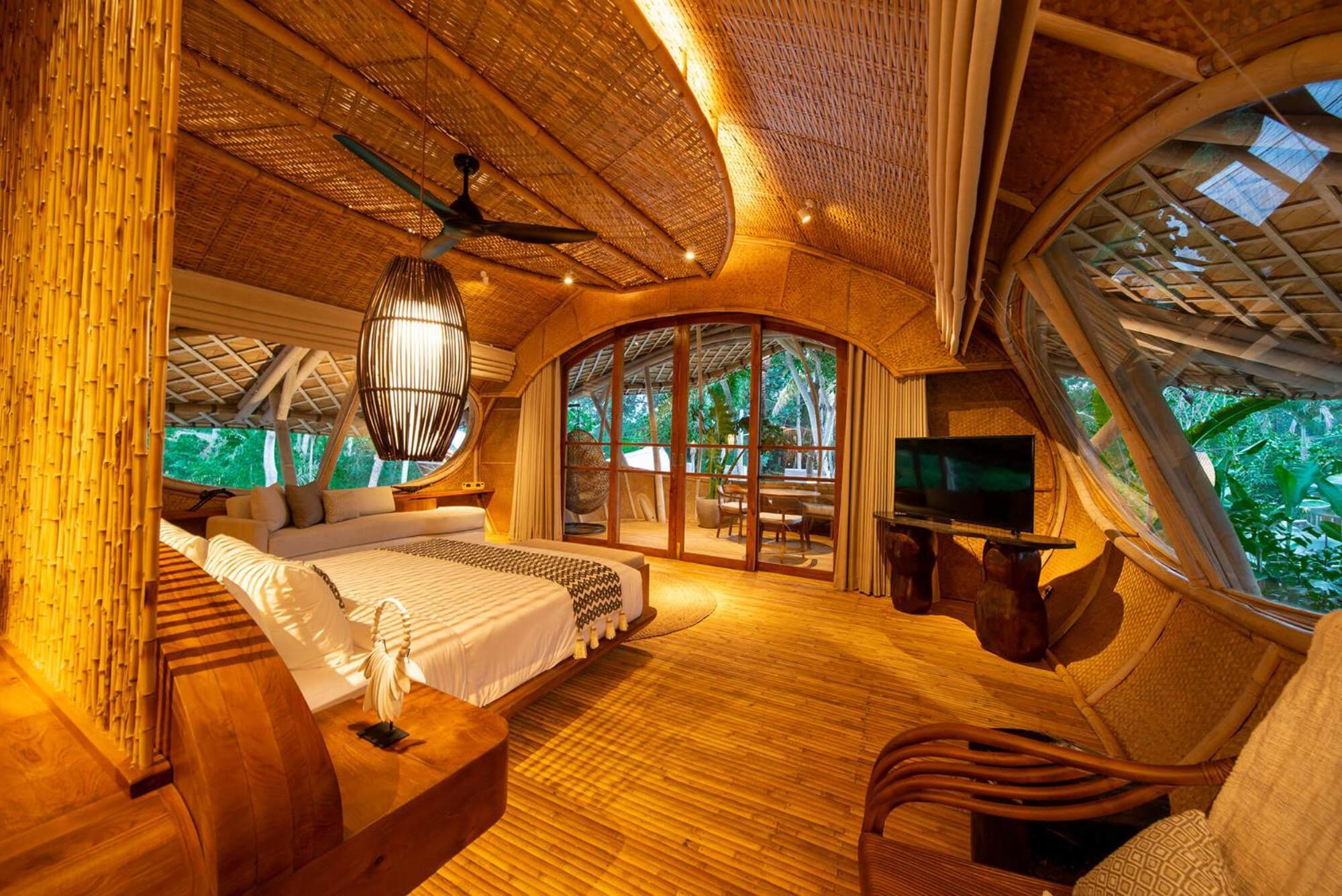 Cocoon Jungle