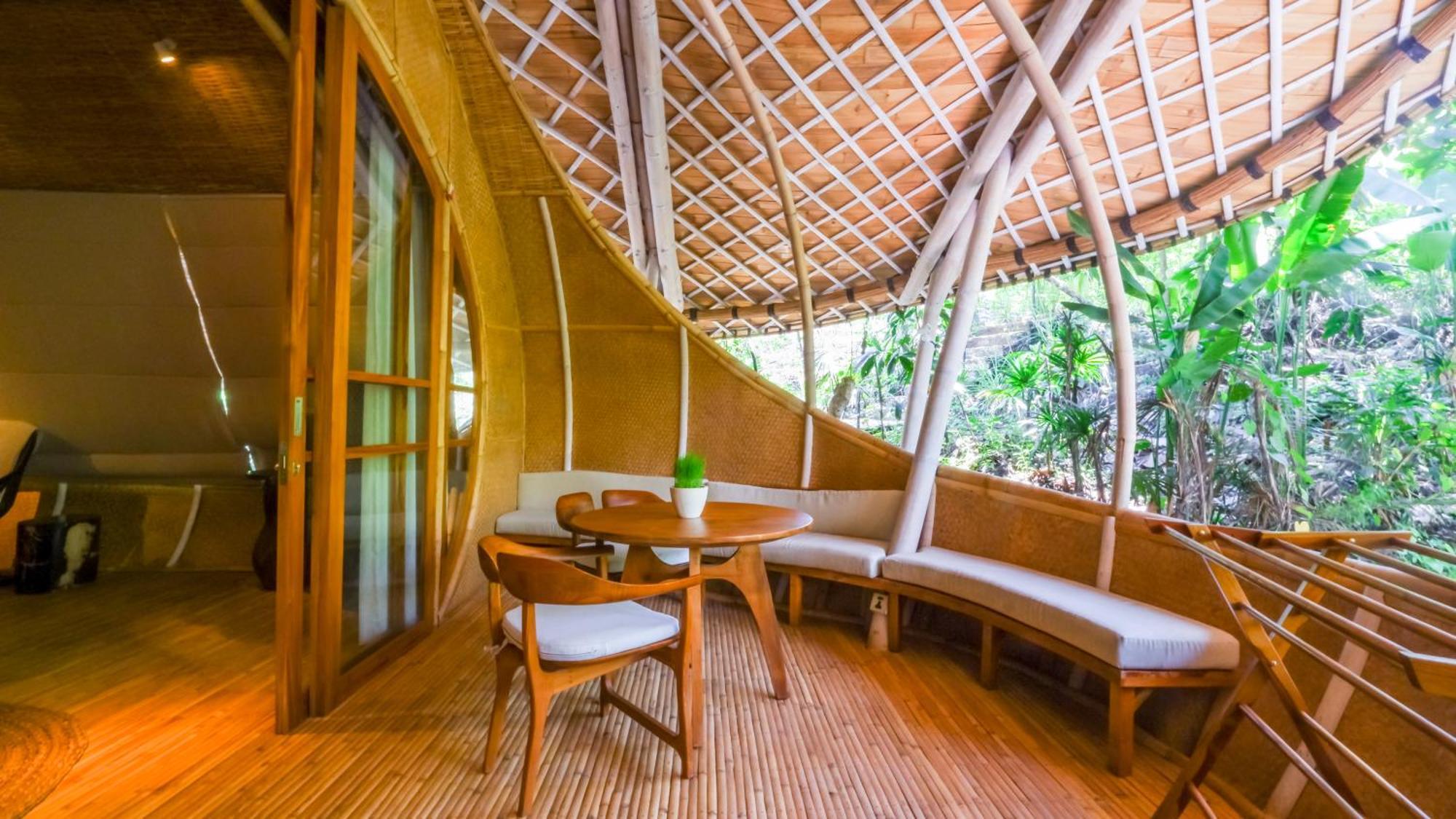 Cocoon Jungle