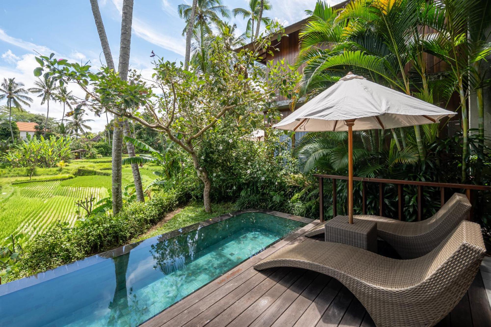 One-Bedroom Pool Villa Rice Field View Daily Scheduled Activities