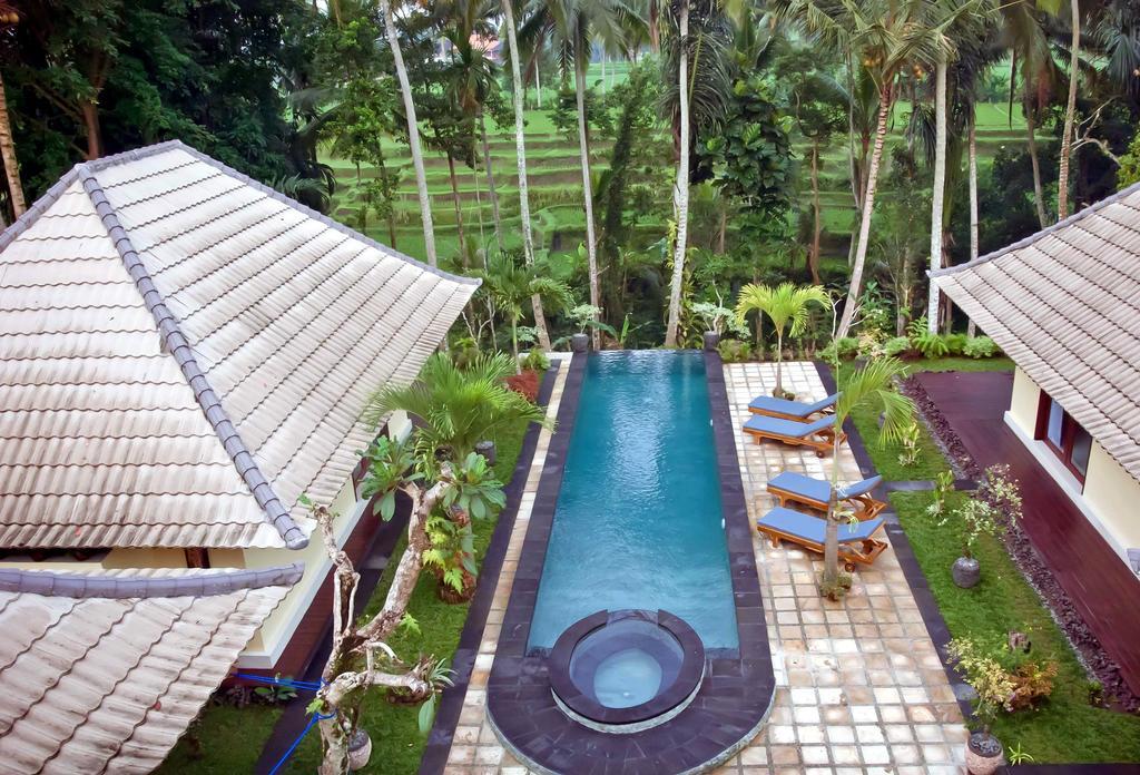 Cottage Rice Paddy View