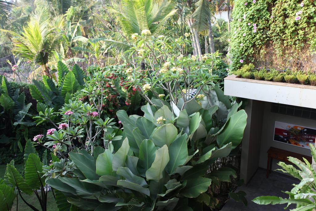 Double or Twin Room Garden View