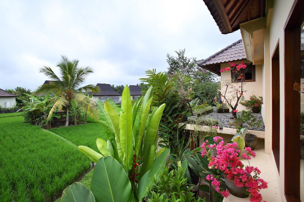 Villa 3 Chambres Solera avec Piscine Privée
