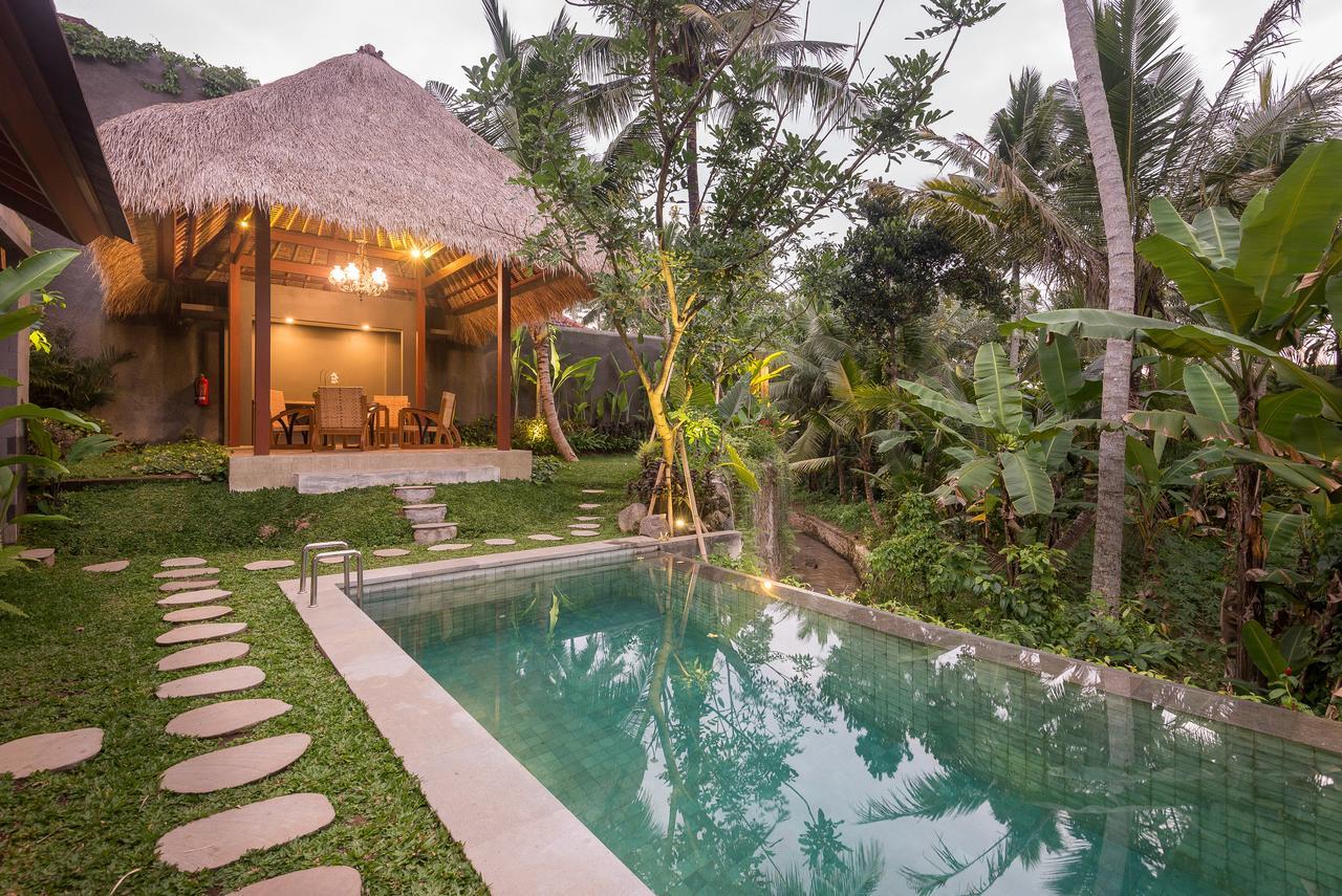 Suite avec Piscine Privée