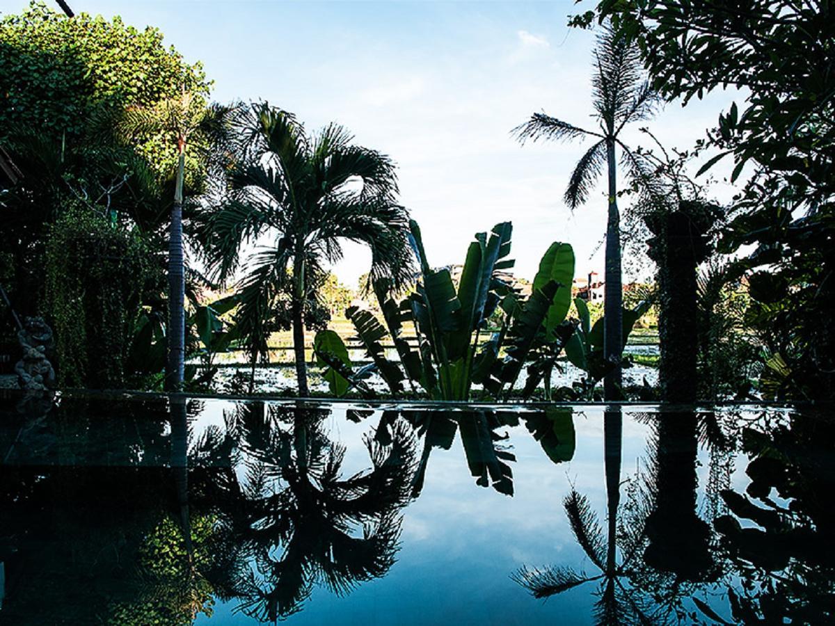 Taman Toya Guesthouse Standard