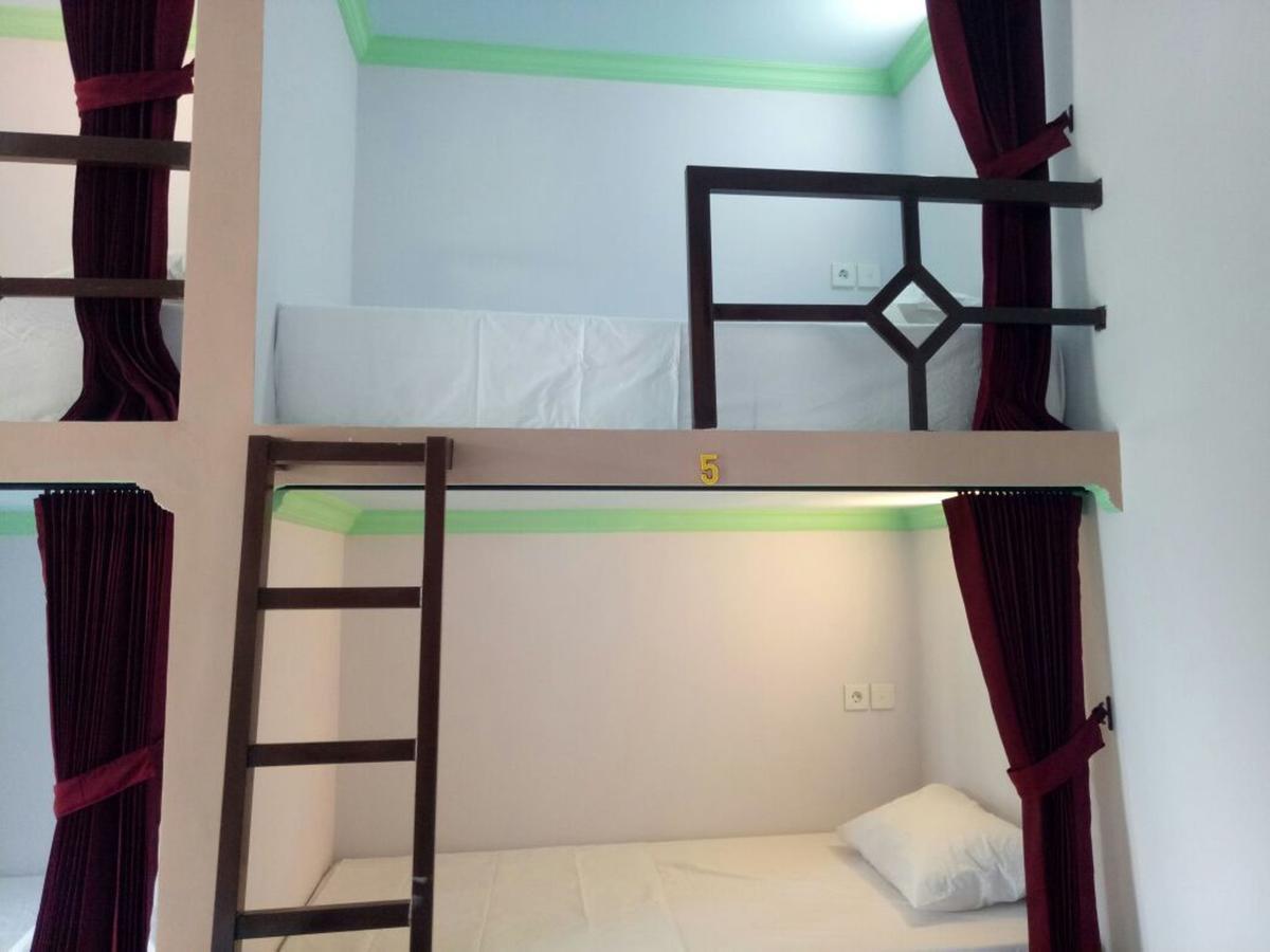 Bunk Bed Mixed Dormitory Room