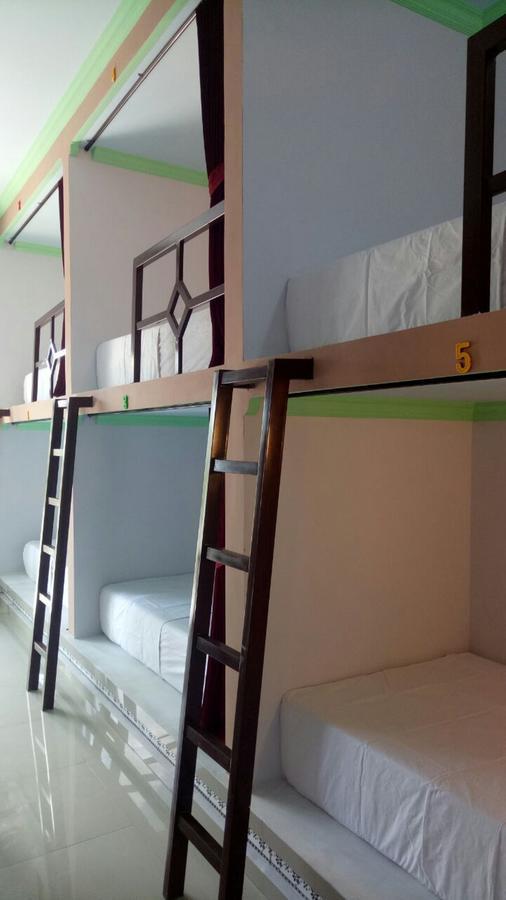 Bunk Bed Mixed Dormitory Room