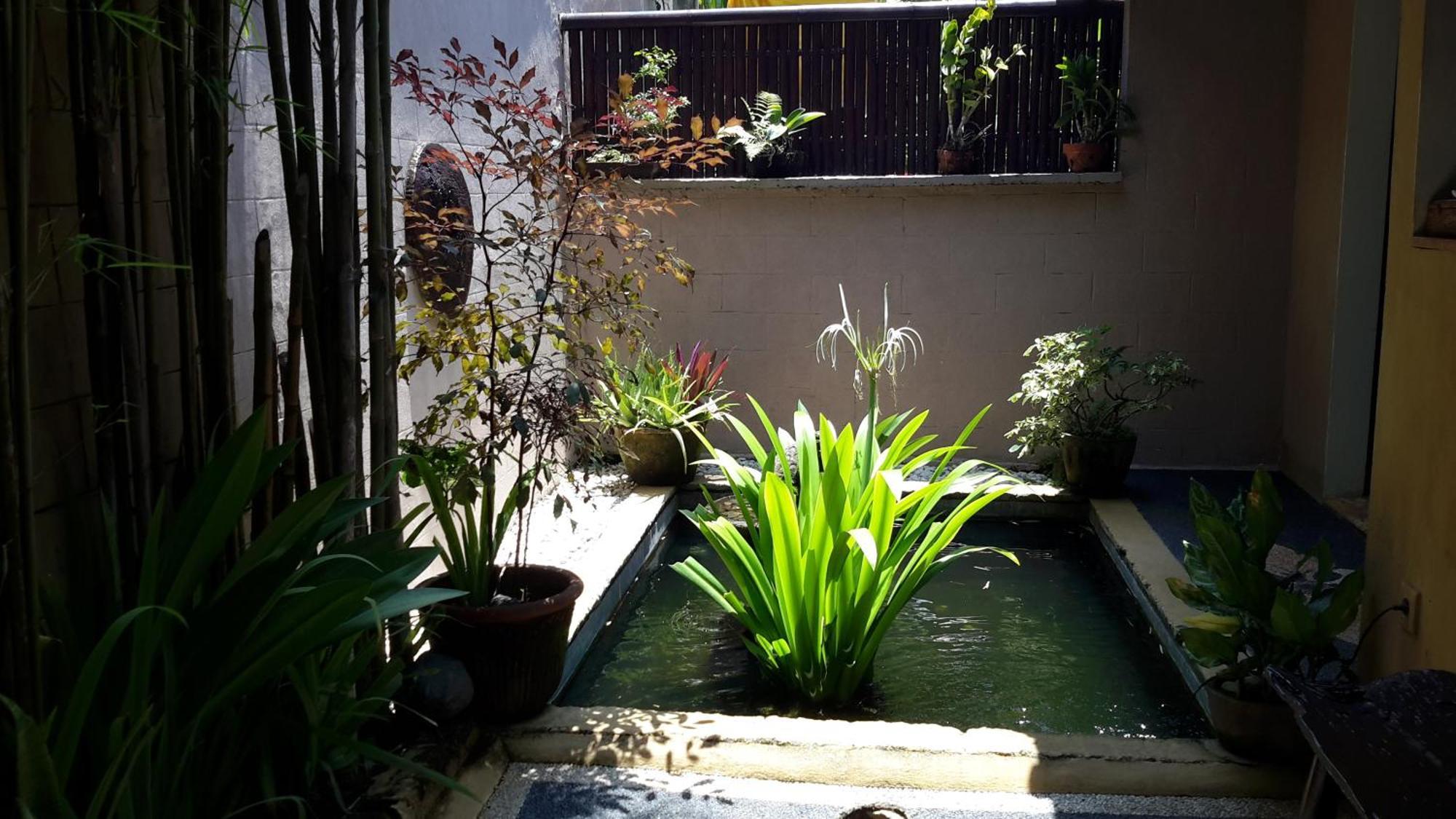 Private Pool Villa 1x Airport Transfer