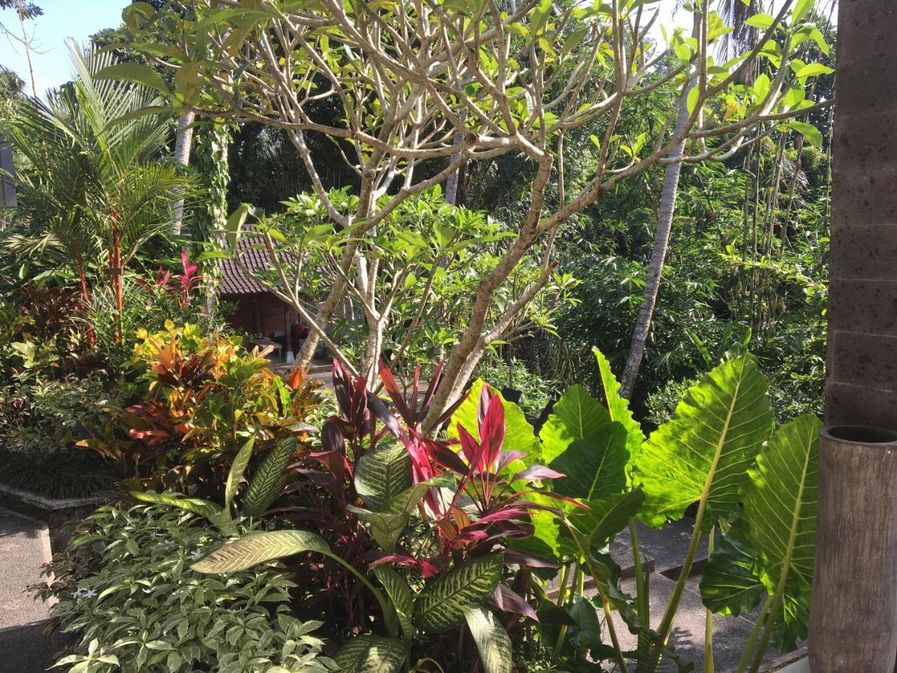 Villa Garden View