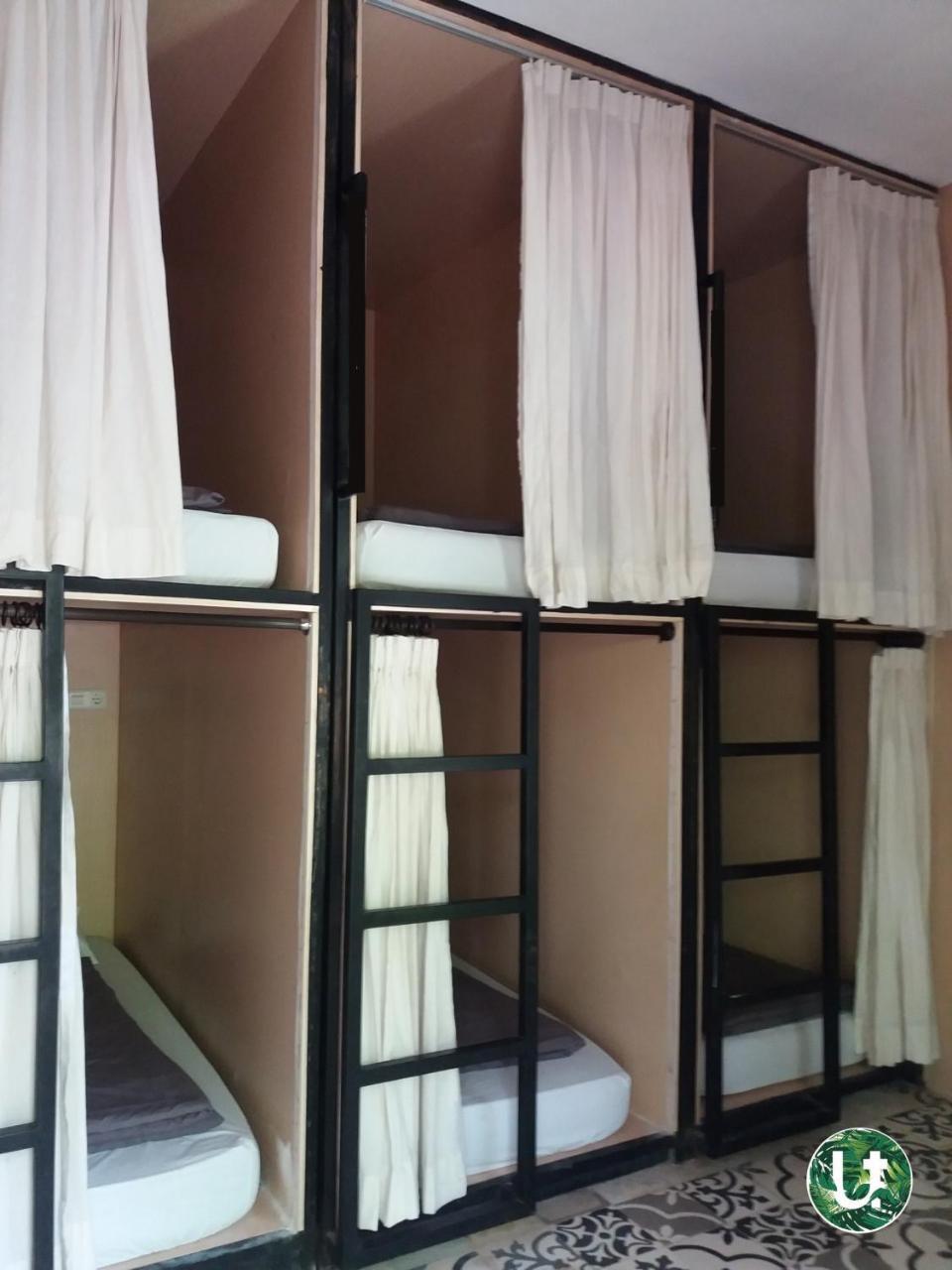 Bed in 6-Bed Female Dormitory Room,747069482:JPEG