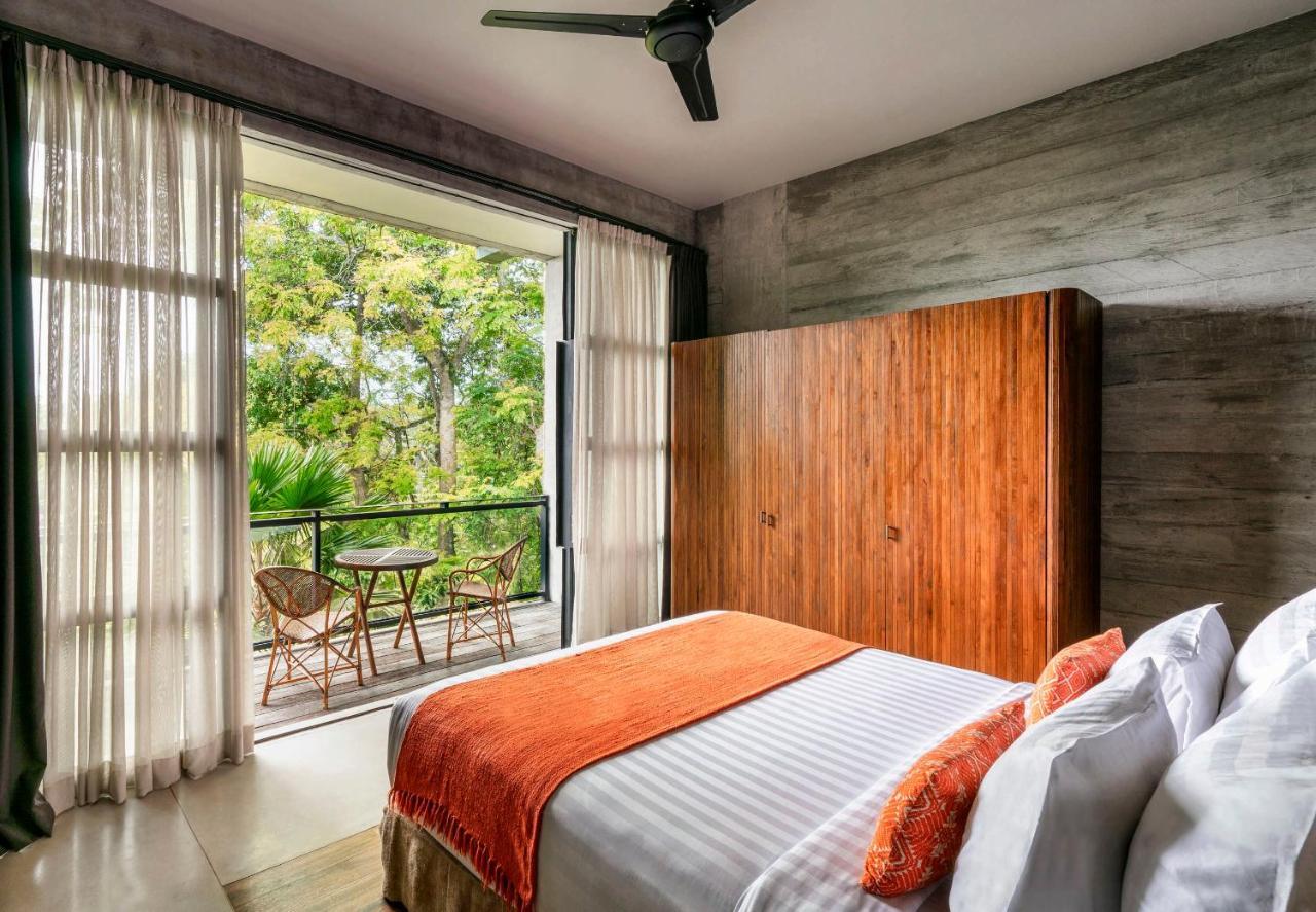 Forest Suite