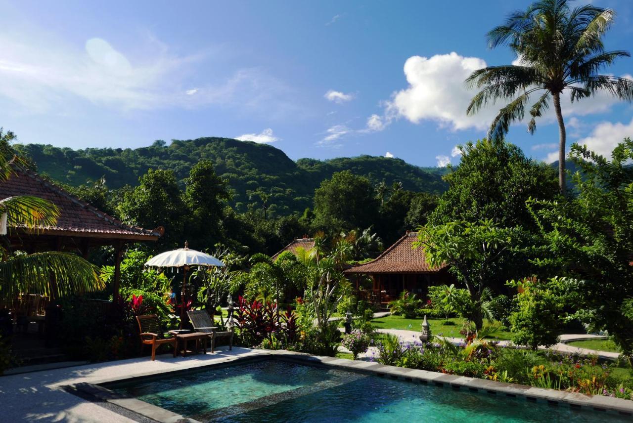 King Room Garden View