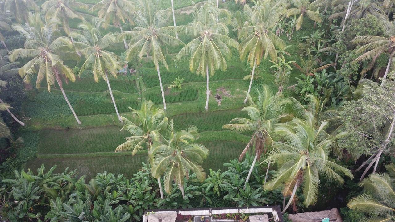 Honeymoon Wooden Suite  with Rice Field  View