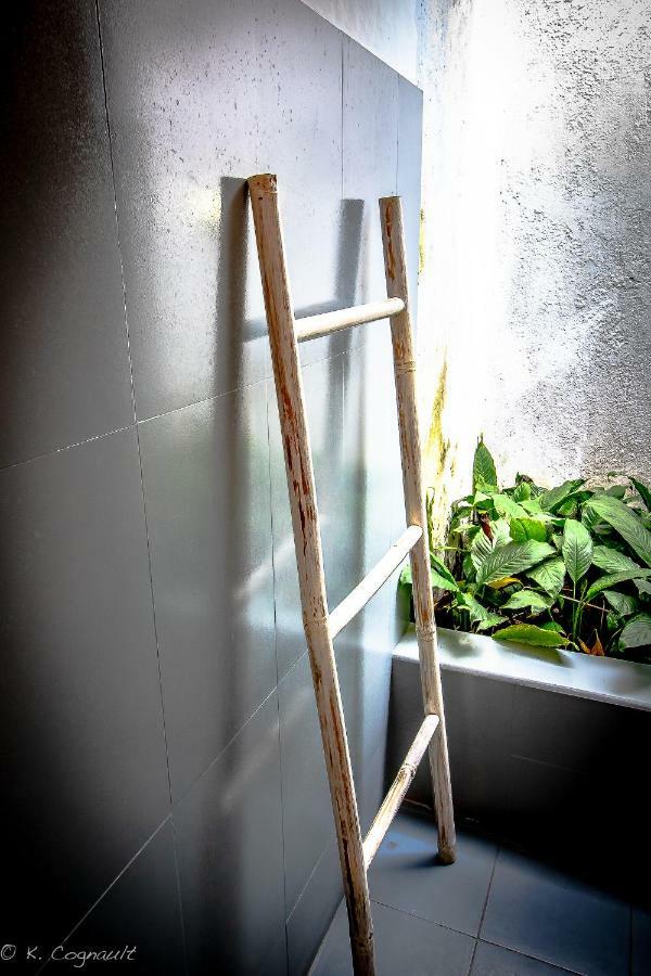 Deluxe Double Room Shower