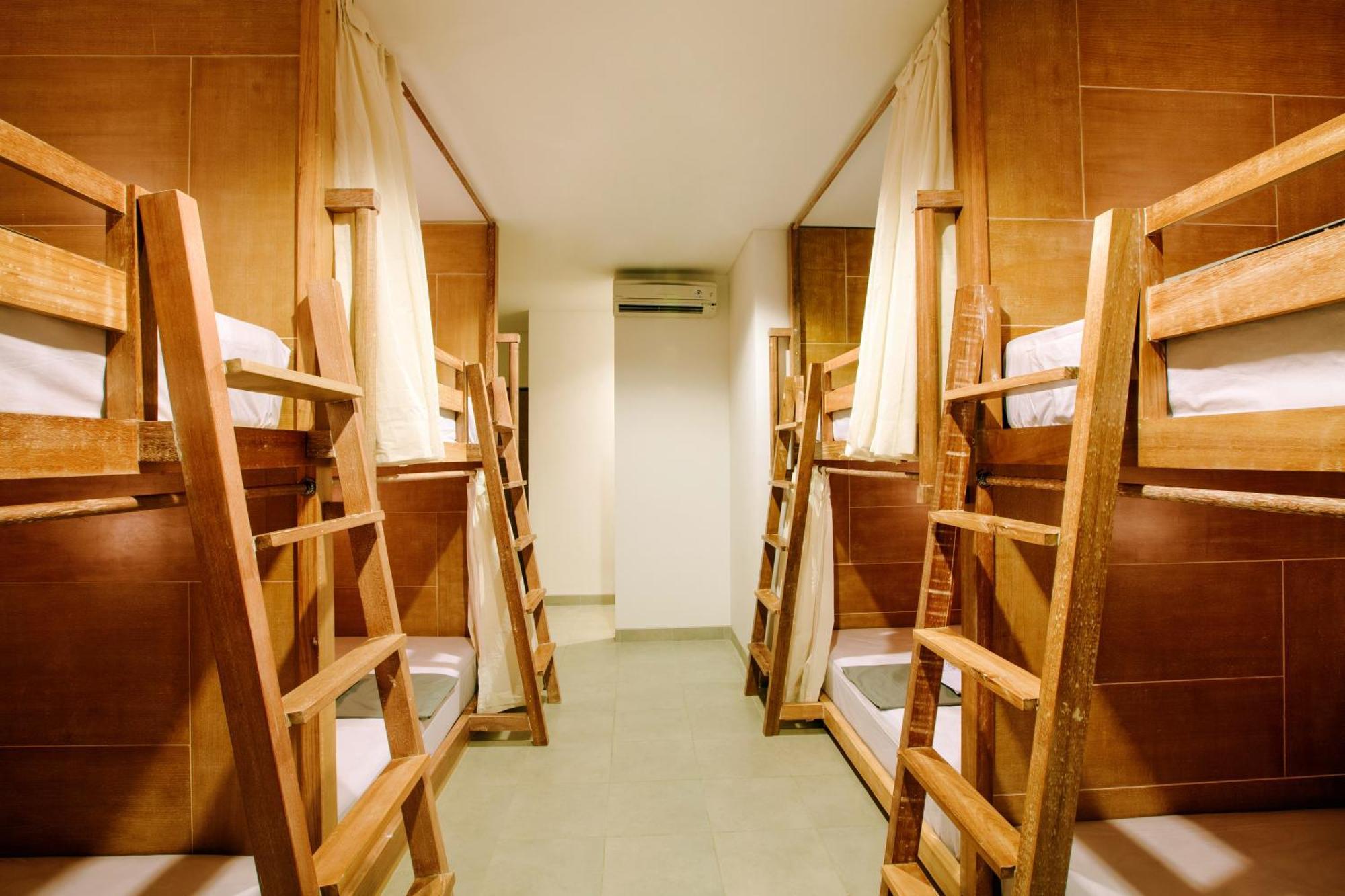 Bunk Bed Mixed Dormitory Room