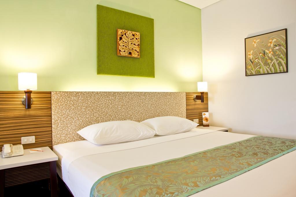 Deluxe Double or Twin Room,79967523:JPEG