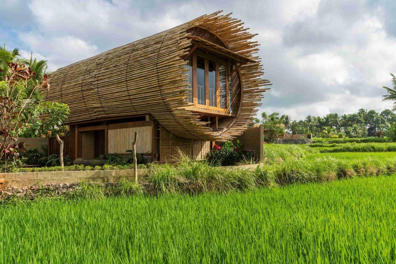 One-Bedroom Villa Exclusive Rice Field View,1133078640:JPEG