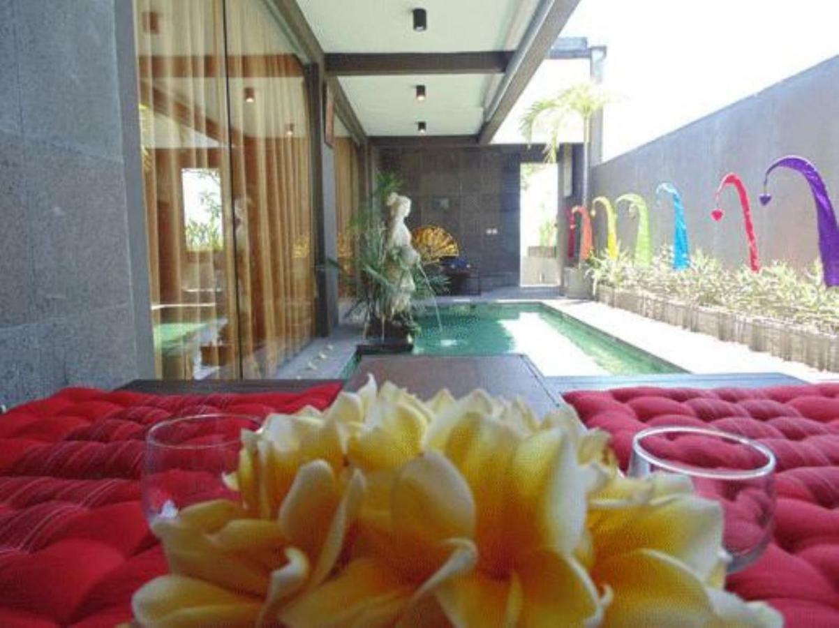 Apartment Pool View