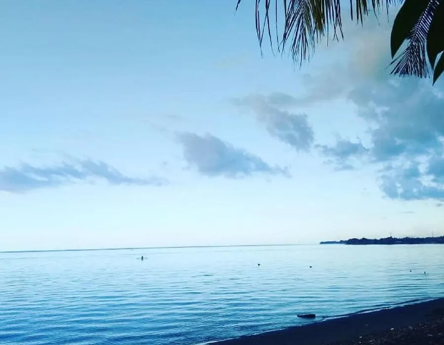 Lilacita Beach Lovina-1