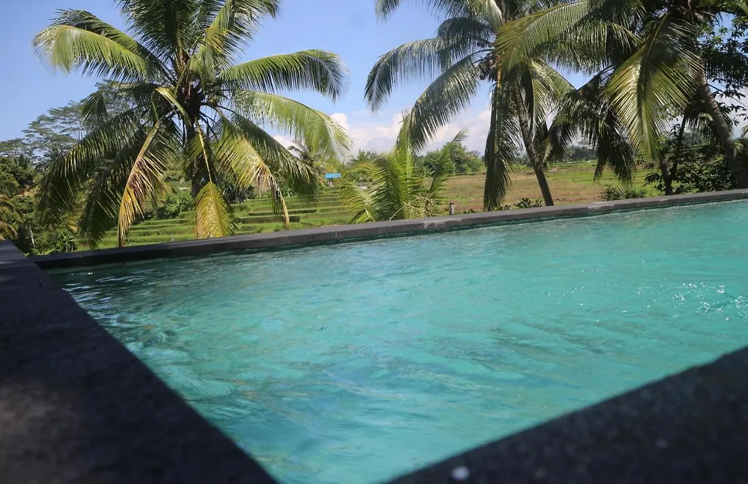 Green House 2 Bedroom Private Pool Villa-1