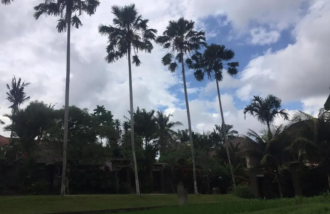 Asri Sari Villa Ubud-1