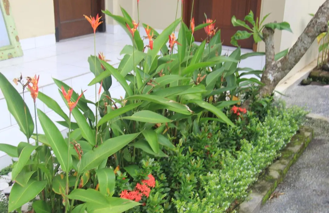 Arya Guest House-1