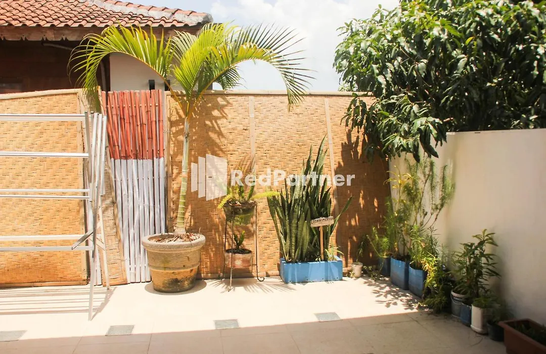 Bamboula Rooms Canggu-1