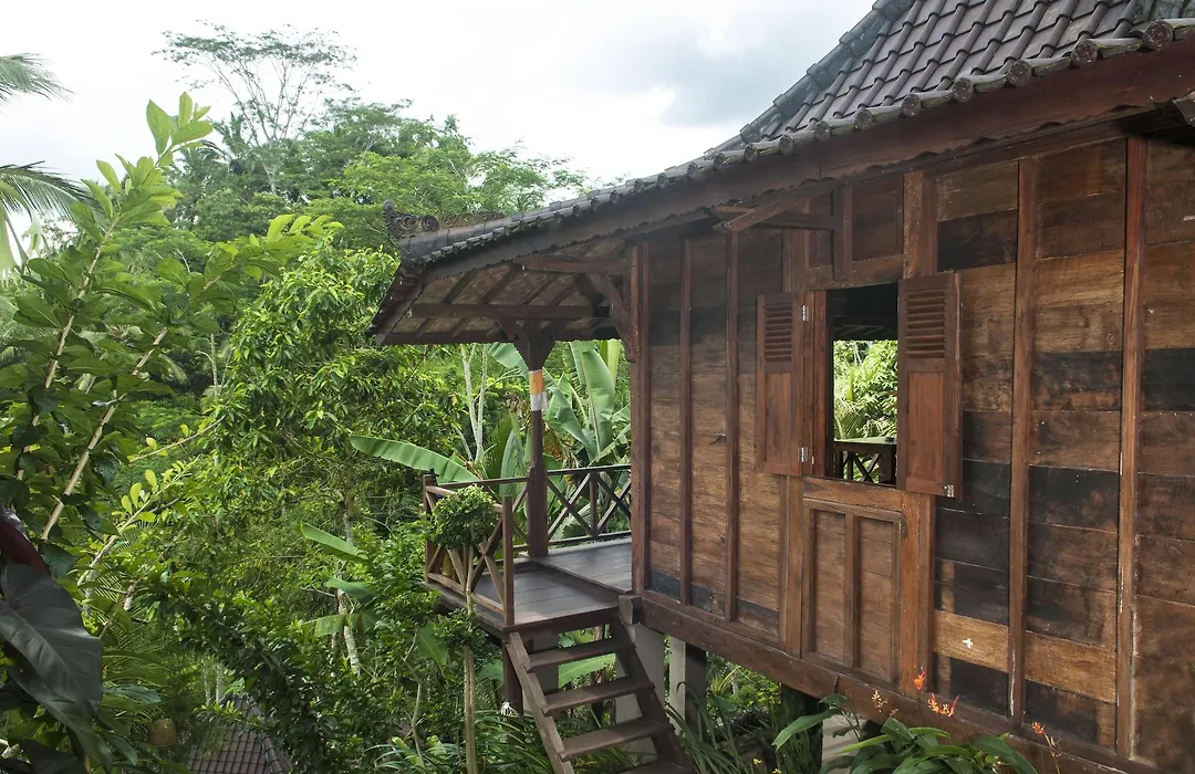 Dd Ubud Jungle Villa-1