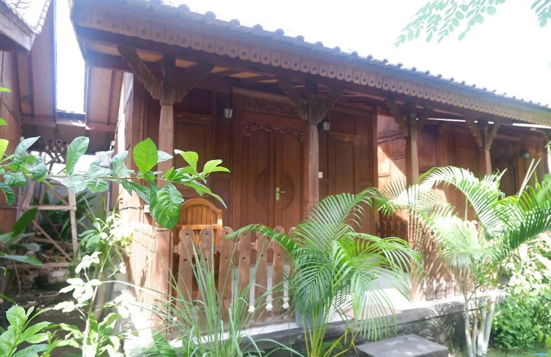 Satria House Amed-1