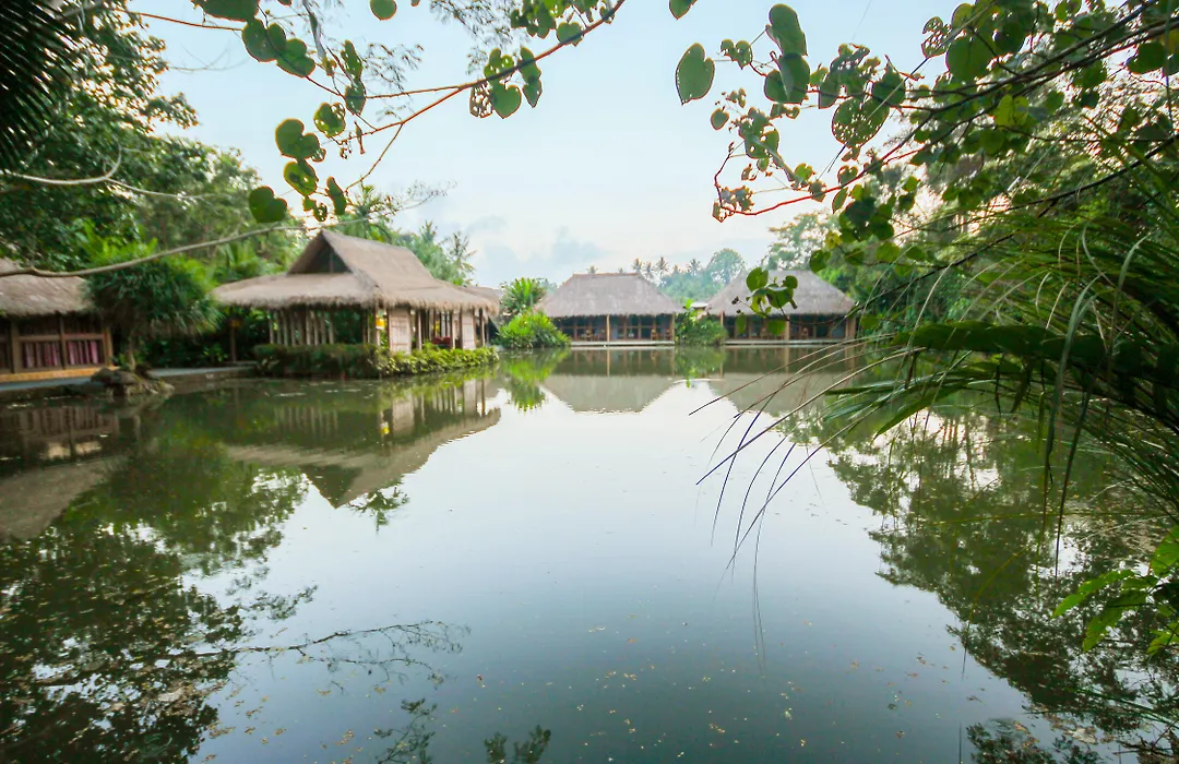 Serenity House Ubud Bali-1