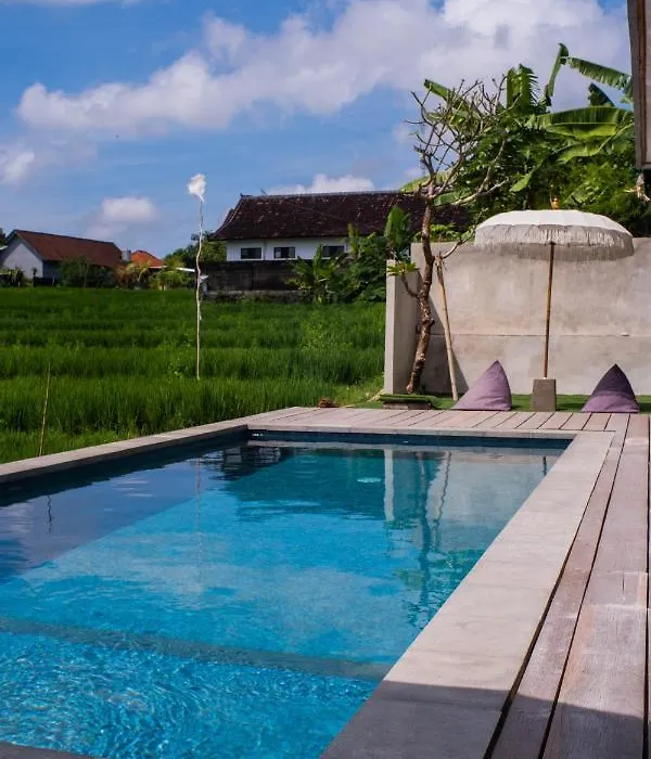 Backyard Canggu-1