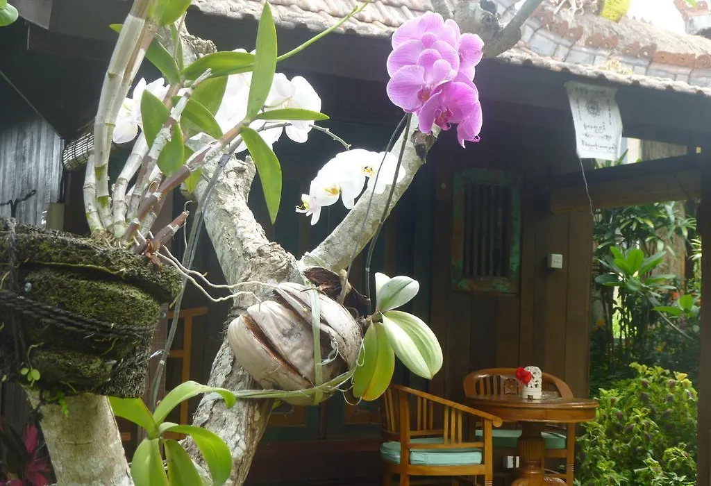 Joglo Taman Sari-1
