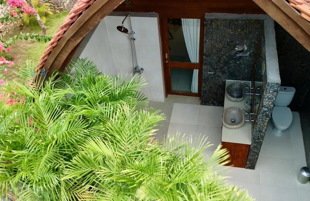 Jungle Paradise-1