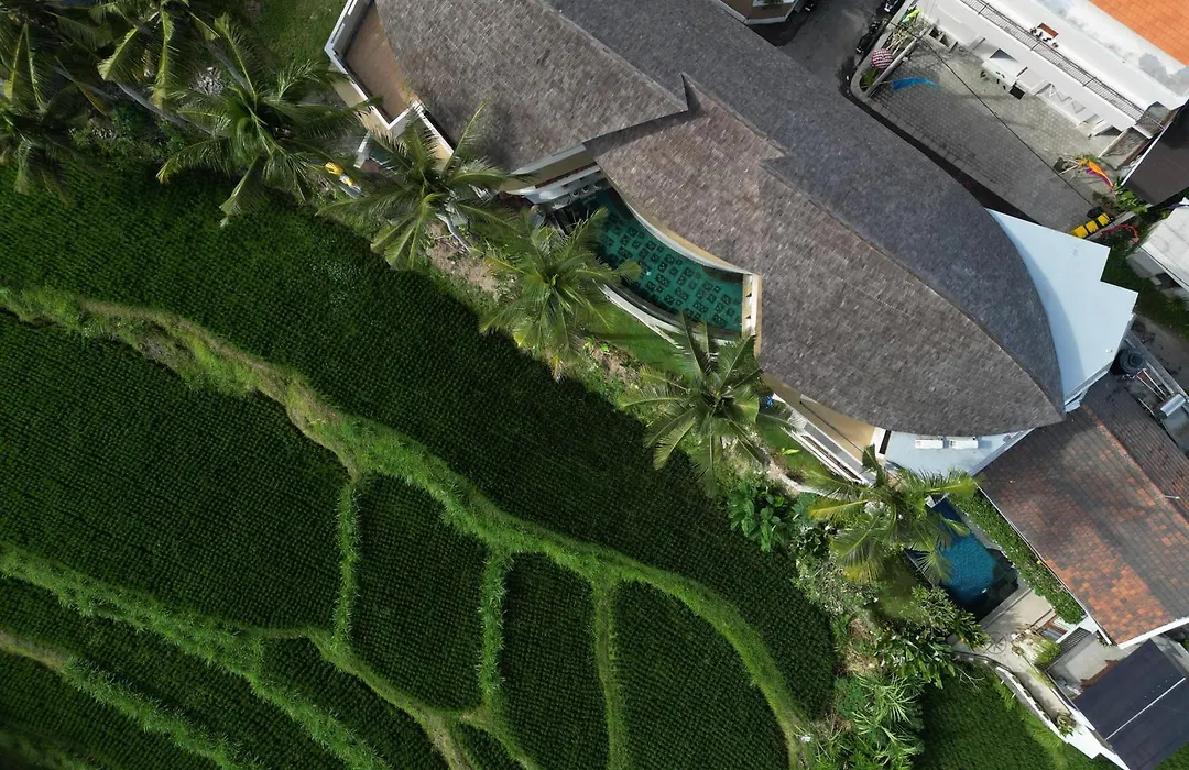 The Bodhi Leaf Wellness Resort-1