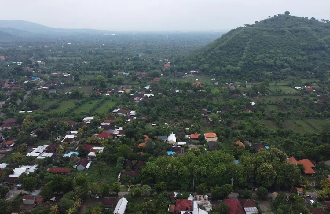 Pondok Shindu Guest House-1